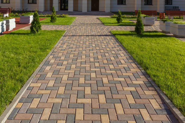 Best Driveway Paving Contractor  in South River, NM